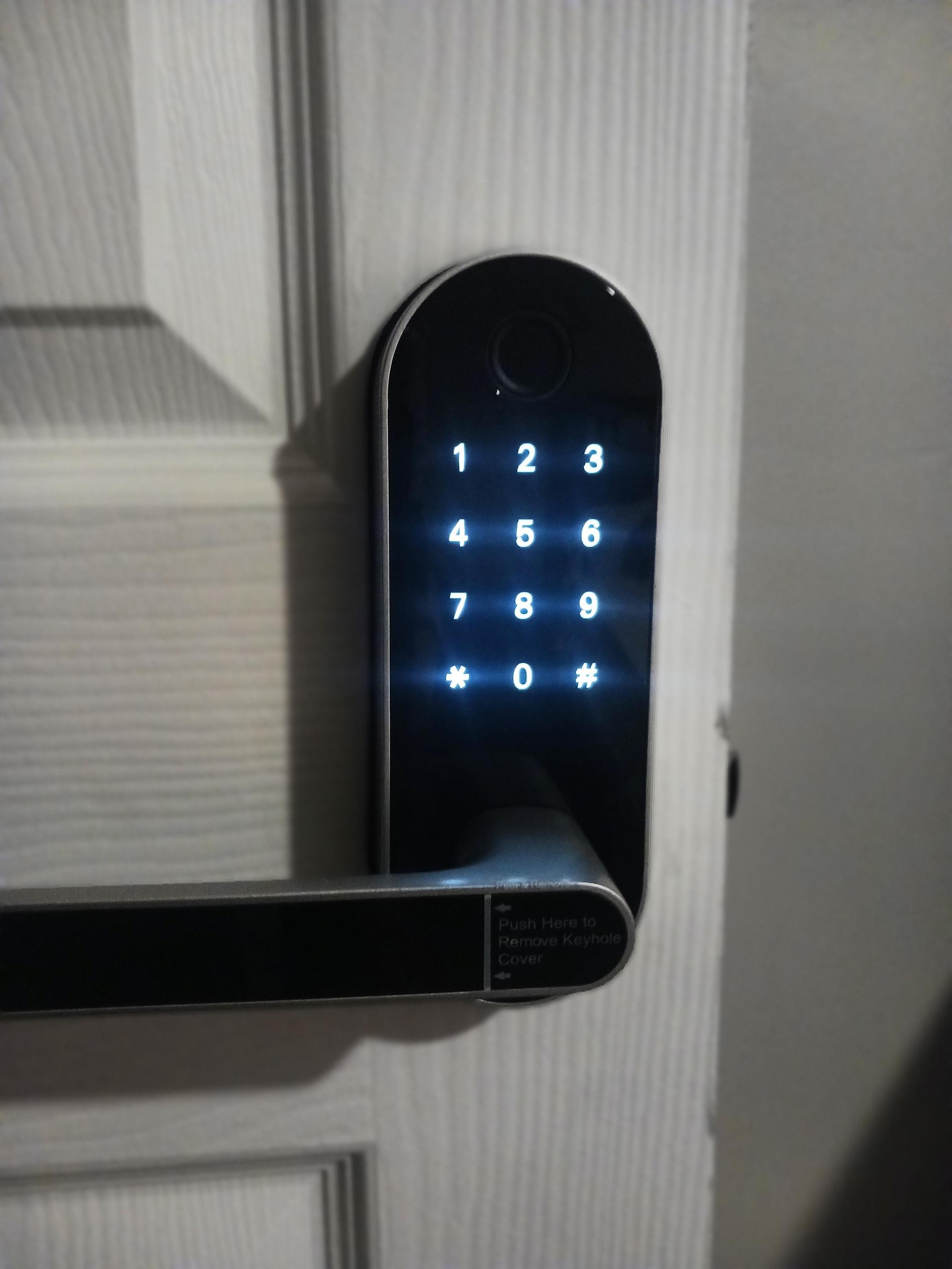 Electronic door security