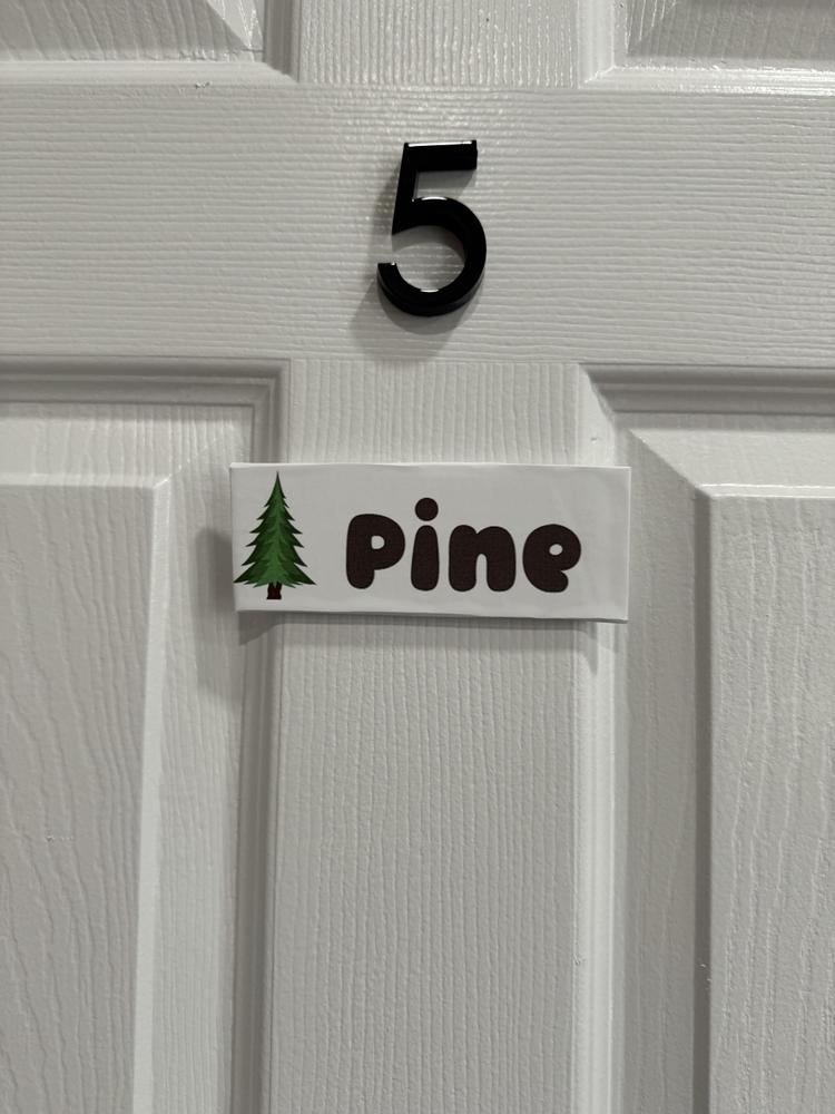 Pine