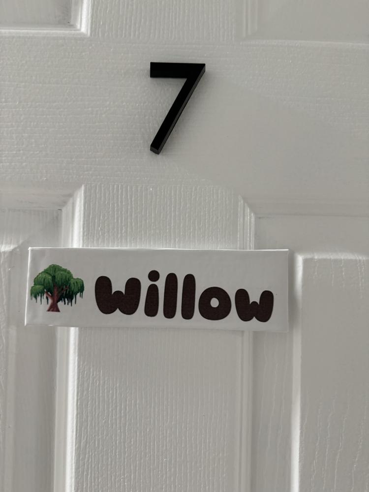 Willow