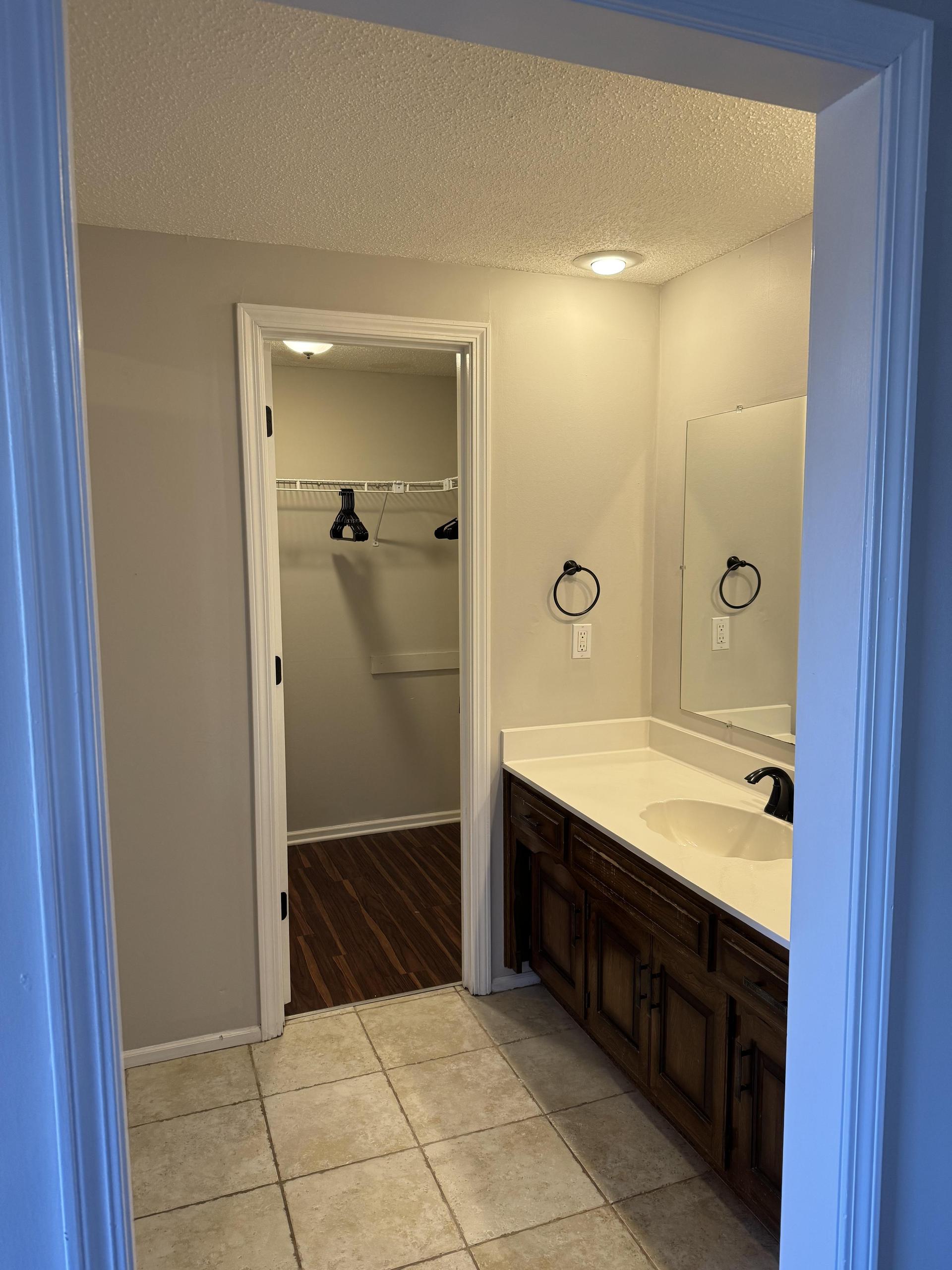 Sink area w/ Walk in Closet