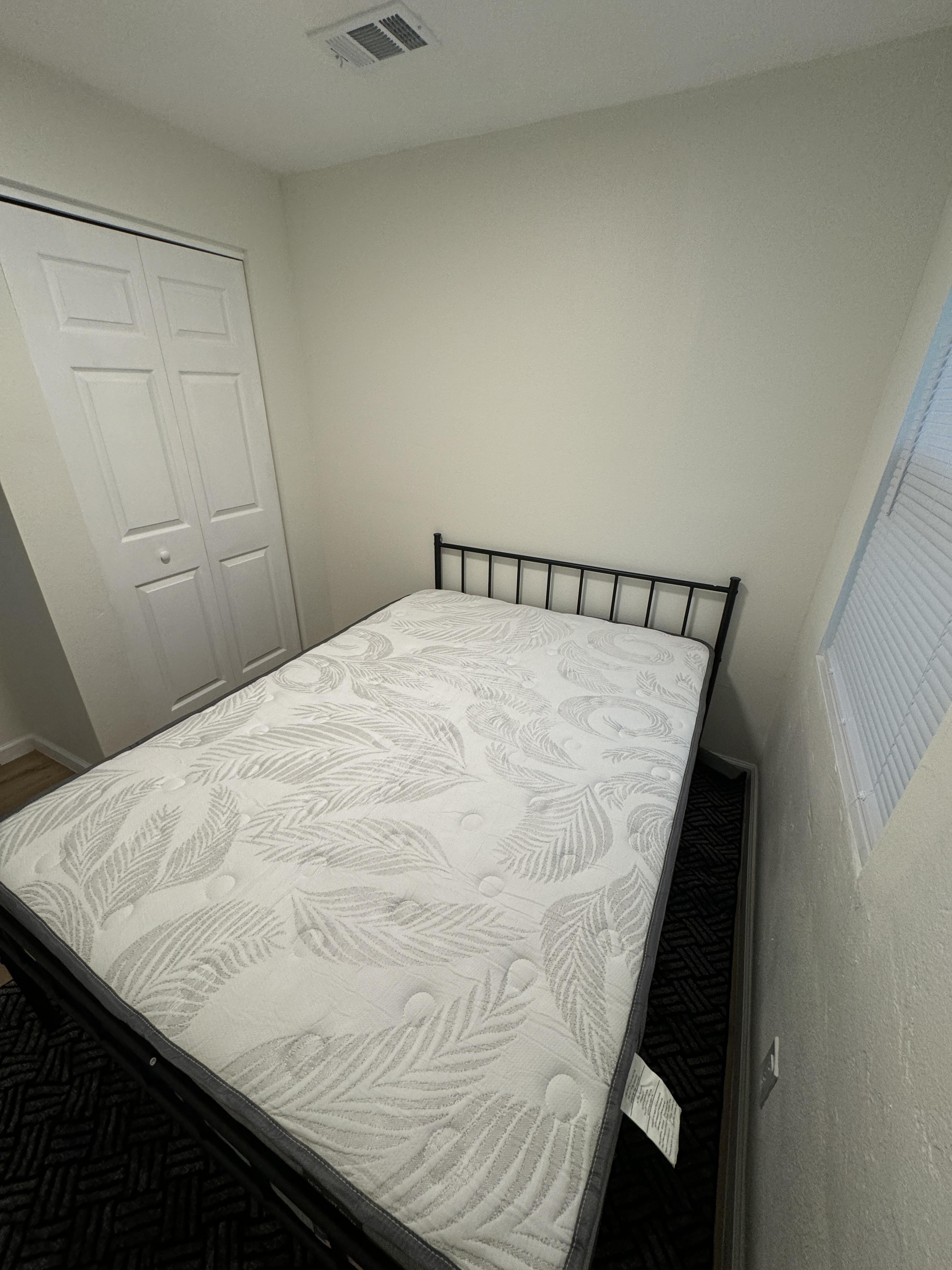 Room for Rent - Comfortable & spacious St. Petersburg House near downtown.