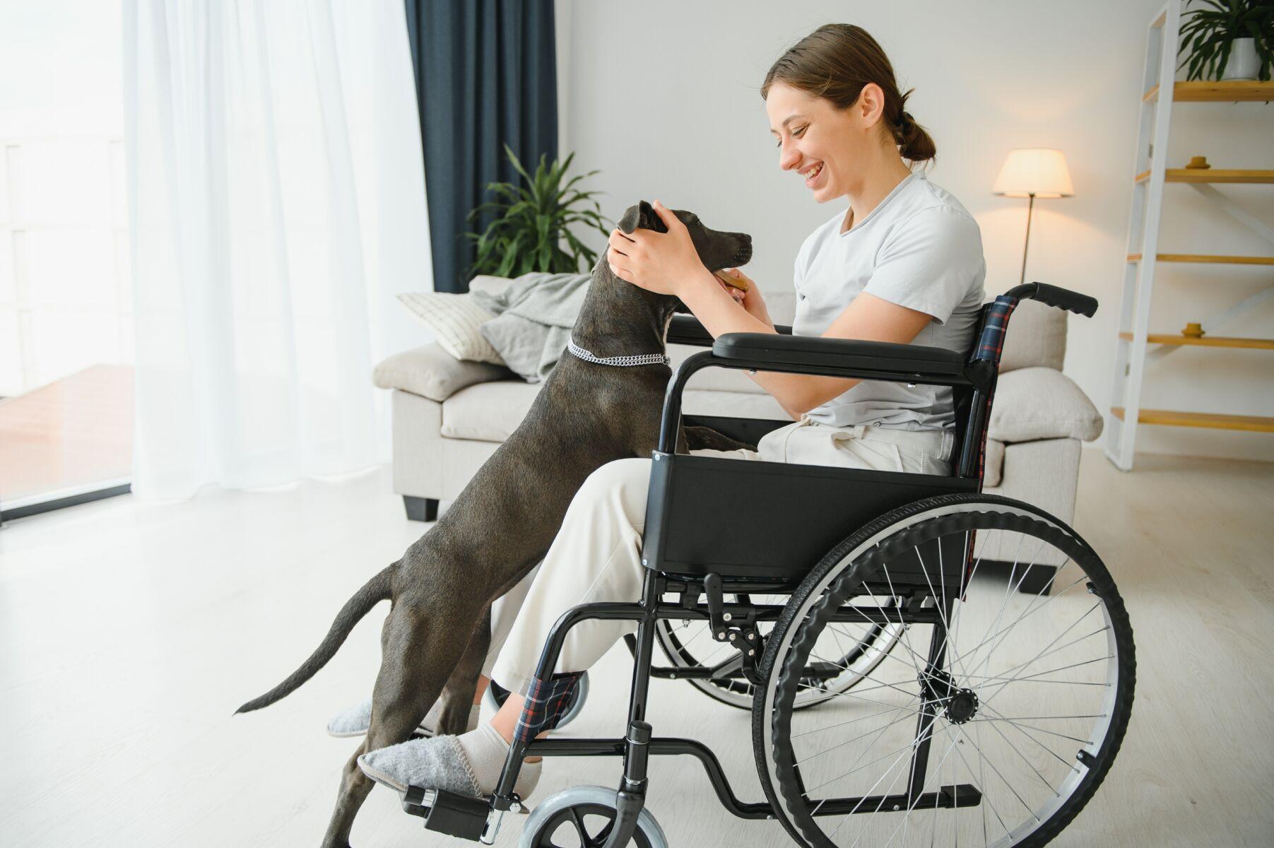 Renting with service animals and support pets at PadSplit